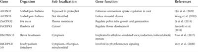 The role of CDPKs in plant development, nutrient and stress signaling